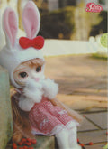 (F-206)Pullip leprotto photo A4-sized Paper Document plastic file folder