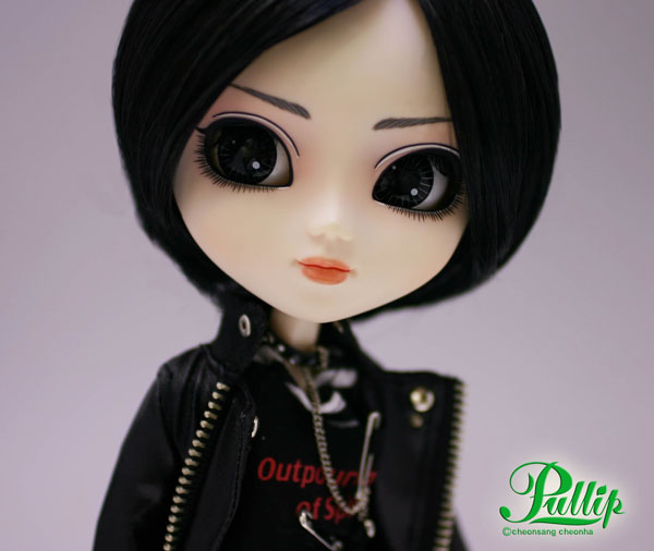 *Old Model(2006 model.)RIDa