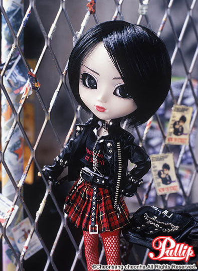 *Old Model(2006 model.)RIDa