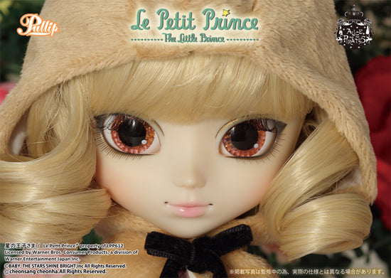 THE FOX x Le Petit Prince