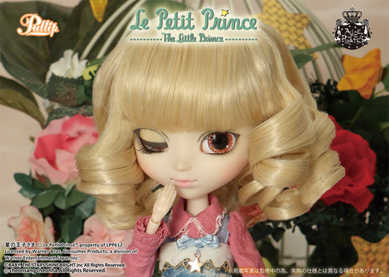 THE FOX x Le Petit Prince