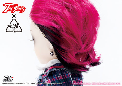 HIDE ~20th Memorial Ver.