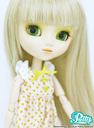 *Old Model Paja 
