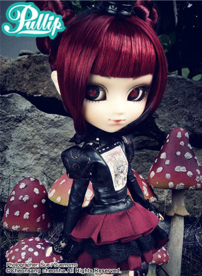 Lunatic Queen **The outer box is torn